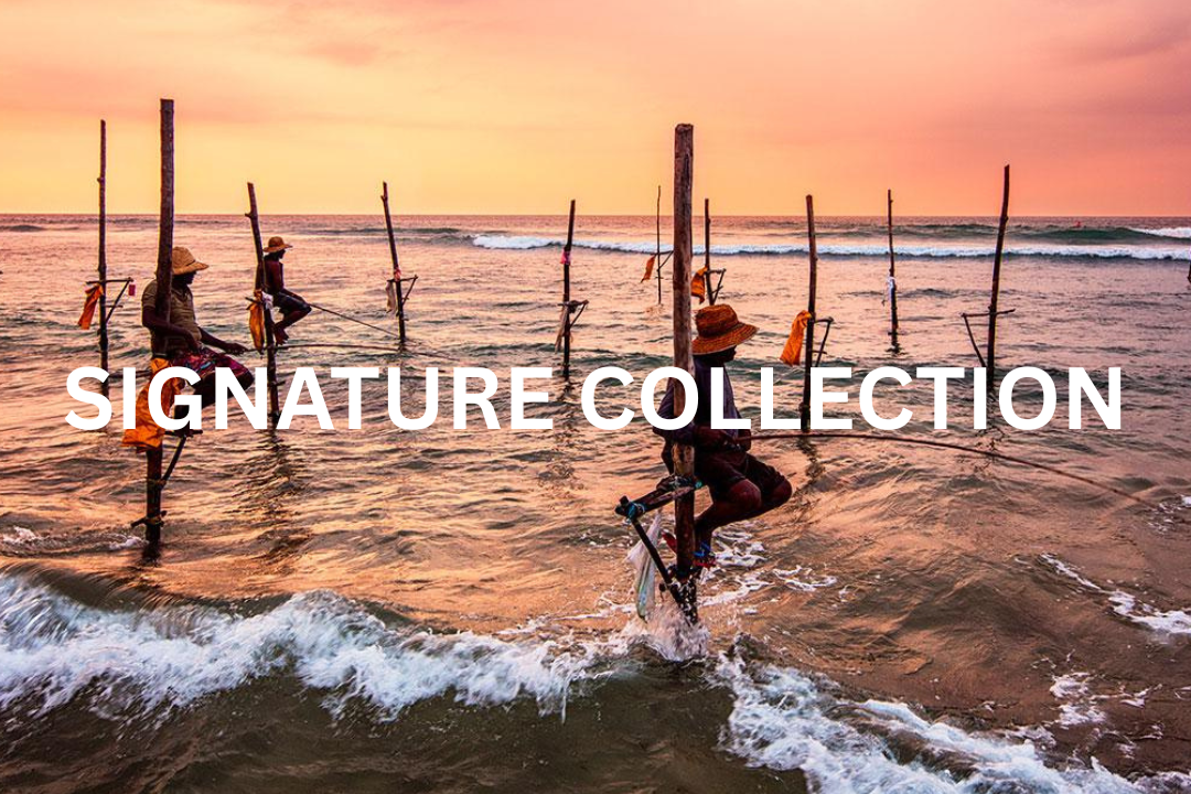 Signature Collection