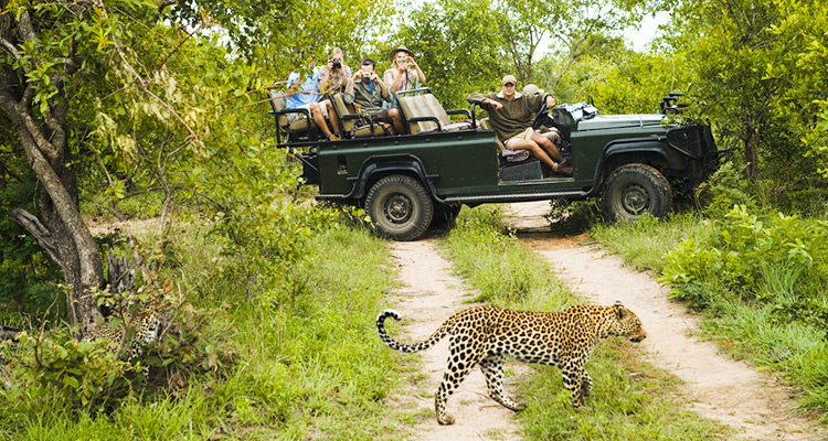 Yala National Park